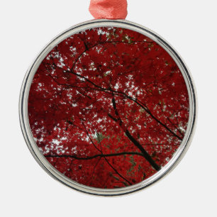 Ornement Rond Argenté Tree Fall Season Red Brown Autumn Leaves