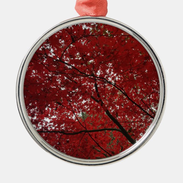Ornement Rond Argenté Tree Fall Season Red Brown Autumn Leaves (Devant)