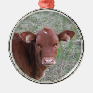 Ornement Rond Argenté Visage Brown de vache à bébé