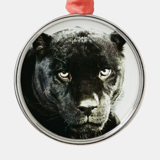 Ornement Rond Argenté Yeux Jaguar (Devant)