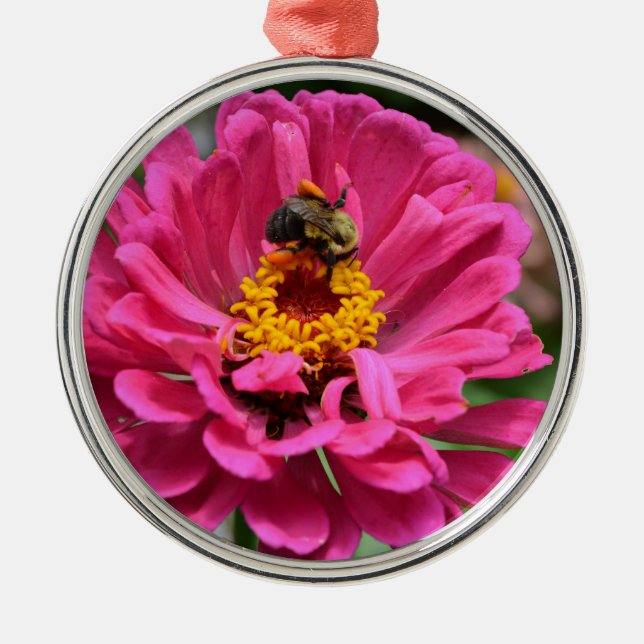 Ornement Rond Argenté Zinnia rose et Bumble bee (Devant)