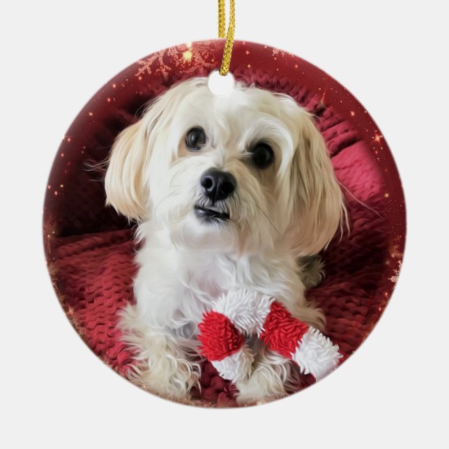 Ornement rond de Noël de chien de Morkie de sucre (Devant)