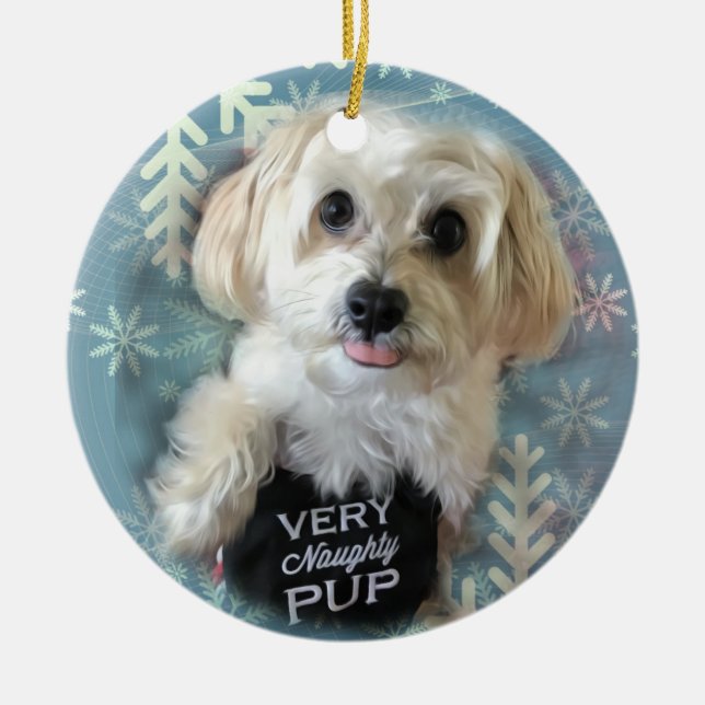 Ornement rond de Noël de chiot de Morkie (Devant)
