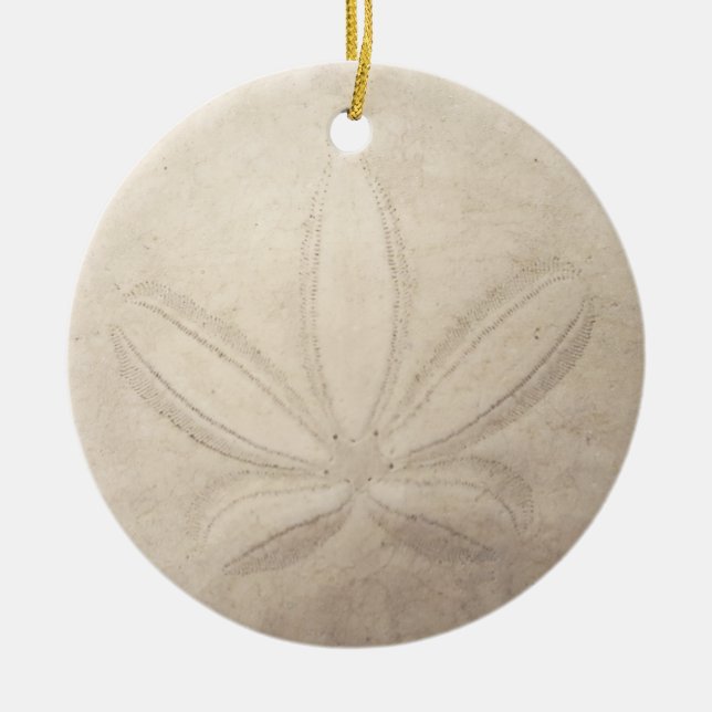 Ornement rond du dollar de sable (Devant)