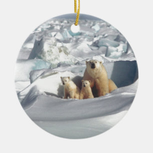 Ornement Rond En Céramique Ajouter SLOGAN pour sauver les ours polaires arcti