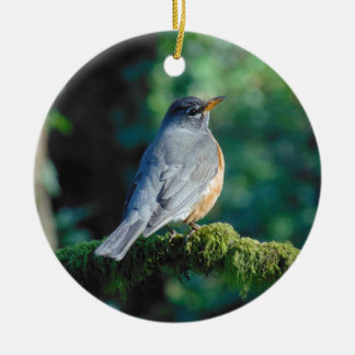 Ornement Rond En Céramique Américain Robin