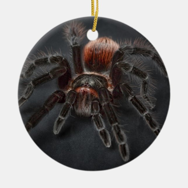 Ornement Rond En Céramique Araignée effrayante Arachnophobia de tarentule (Devant)