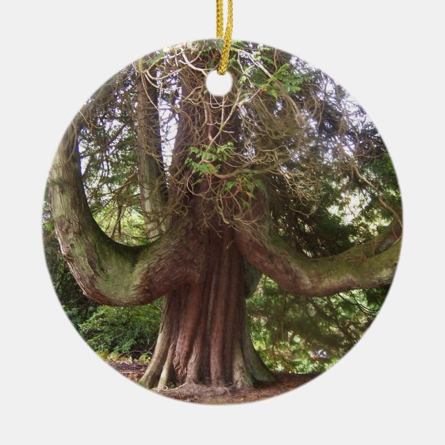 Ornement Rond En Céramique ARBRE Ecosse de DUNANS (Devant)