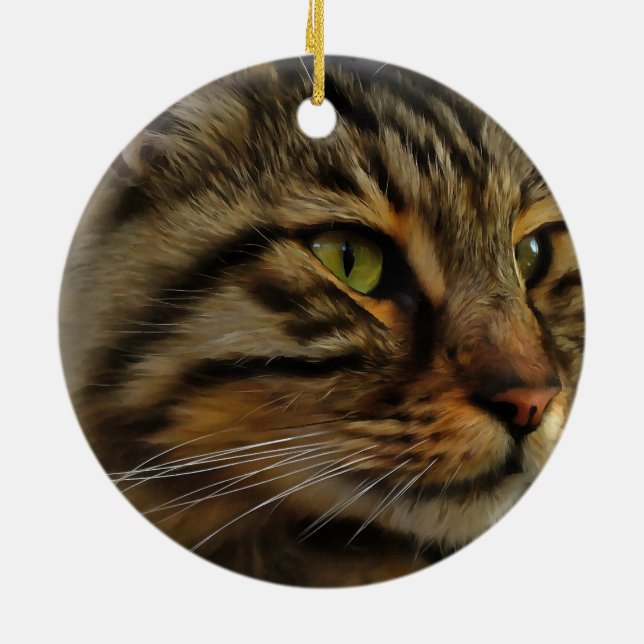 Ornement Rond En Céramique Aslan Le Long Haired Tabby Cat (Dos)