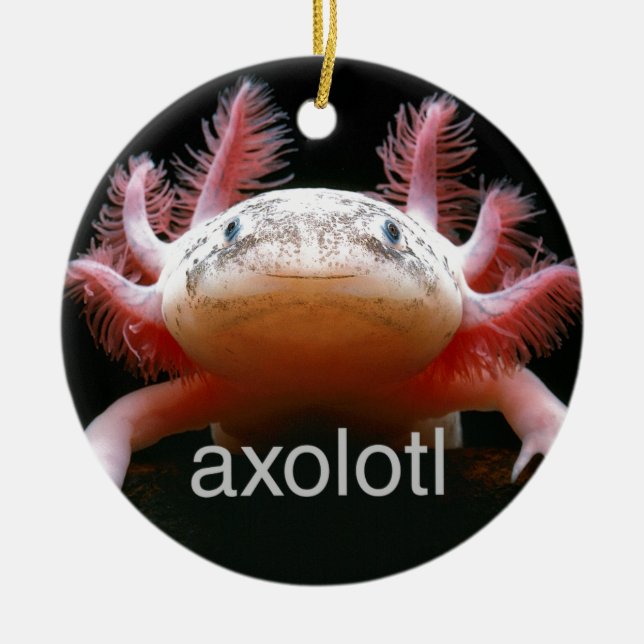 Ornement Rond En Céramique Axolotl d'Axolotl d'Axolotl d'Axolotl (Devant)