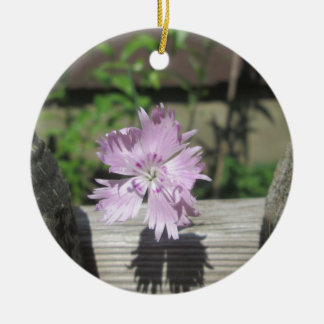 Ornement Rond En Céramique Bath Dianthus