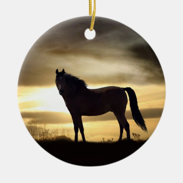 Ornement Rond En Céramique Beau cheval dans l'ornement de soleil (Devant)