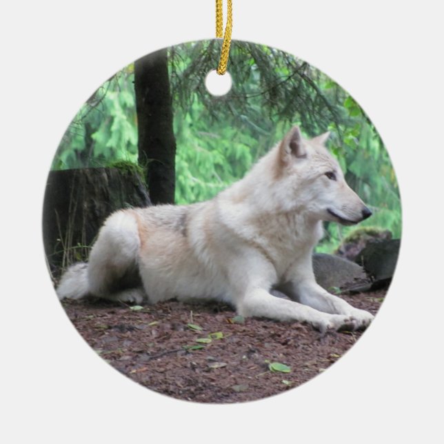 Ornement Rond En Céramique Beau loup blanc (Devant)