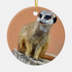Ornement Rond En Céramique Beau meerkat