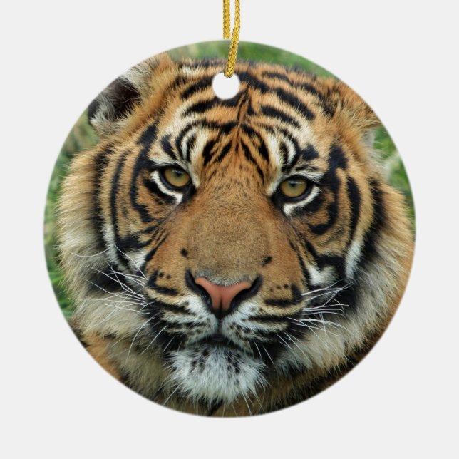 Ornement Rond En Céramique Beau tigre (Devant)