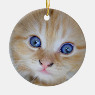 Ornement Rond En Céramique Beautiful Orange Tabby Kitten