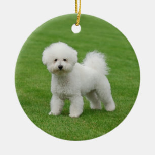 Ornement Rond En Céramique Bichon Frise