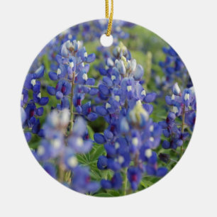 Ornement Rond En Céramique Bluebonnets de Texas