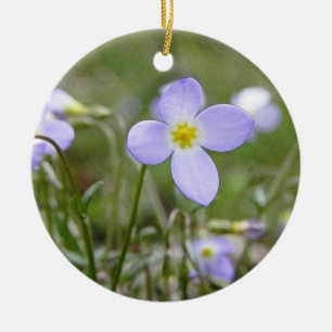 Ornement Rond En Céramique Bluets - dames de quaker