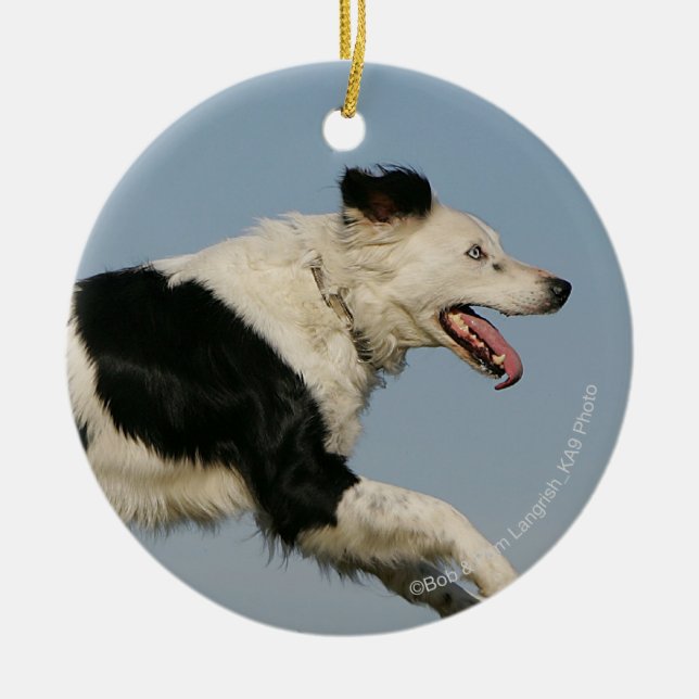 Ornement Rond En Céramique Border collie courant 2 (Devant)
