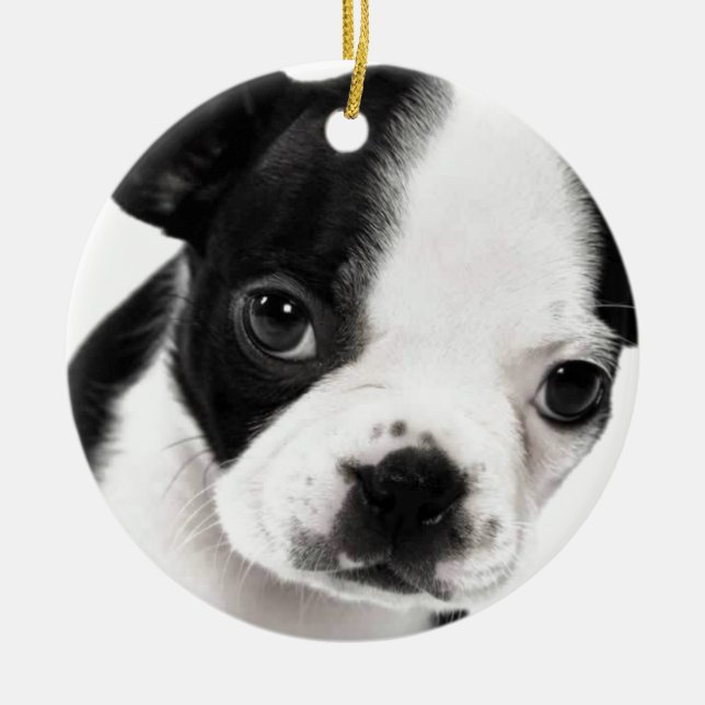 Ornement Rond En Céramique Boston Terrier (Devant)