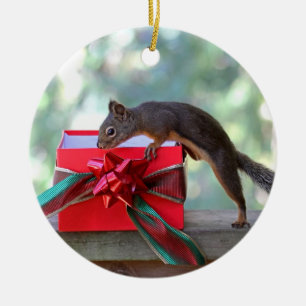 Ornement Rond En Céramique Cadeau de Noël d'ouverture d'écureuil