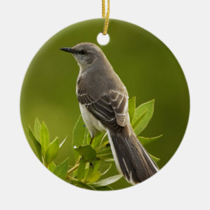 Ornement Rond En Céramique Cadeaux d'amants d'oiseau de moqueur