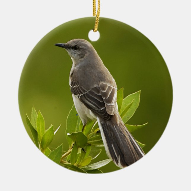 Ornement Rond En Céramique Cadeaux d'amants d'oiseau de moqueur (Devant)