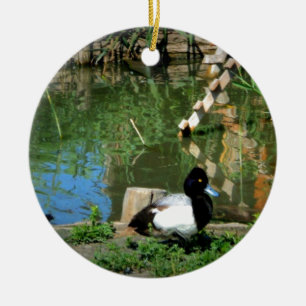 Ornement Rond En Céramique canard de goldeneye à l'étang