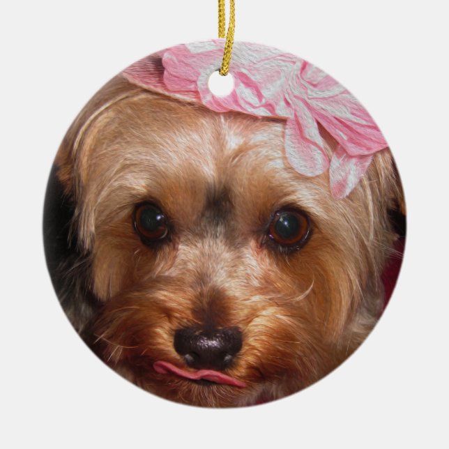 Ornement Rond En Céramique Casquettes affectueux Yorkie II (Devant)