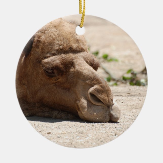 Ornement Rond En Céramique Chameau de sommeil (Devant)