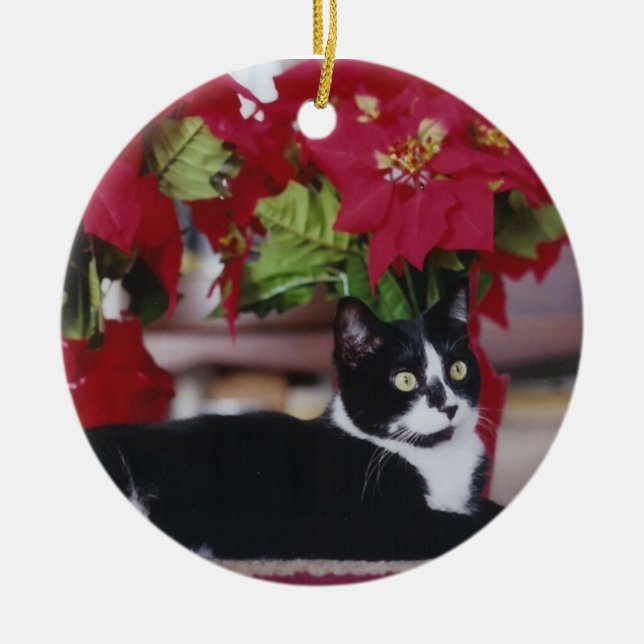 Ornement Rond En Céramique Chat de Noël de smoking (Devant)