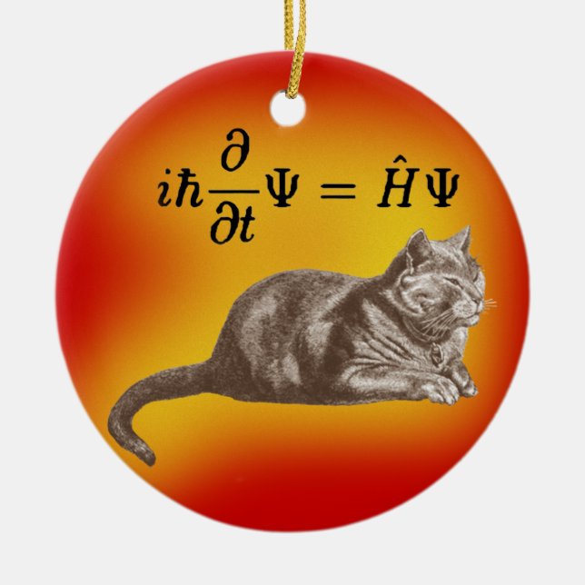 Ornement Rond En Céramique Chat de Schrodinger (Devant)