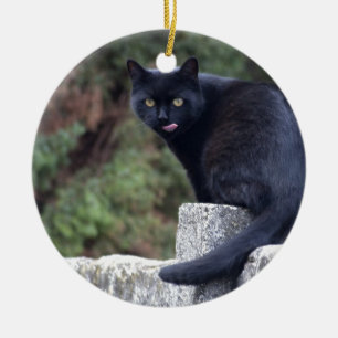 Ornement Rond En Céramique Chat noir
