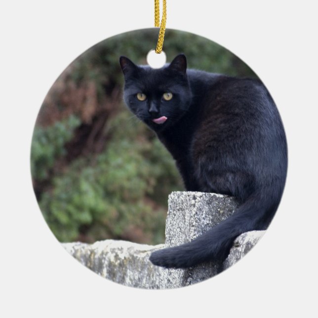 Ornement Rond En Céramique Chat noir (Devant)