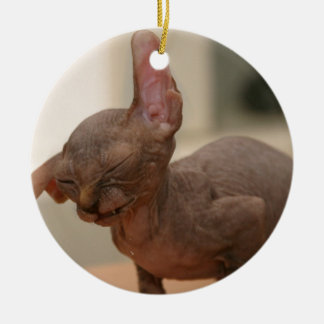 Ornement Rond En Céramique Chaton de éternuement drôle de sphynx