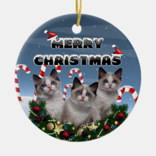 Ornement Rond En Céramique Chatons de Joyeux Noël dans la terre de sucre de