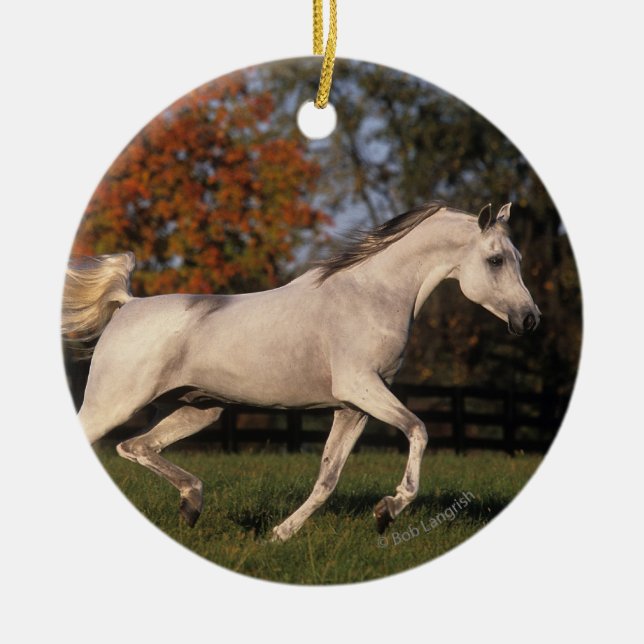 Ornement Rond En Céramique Cheval arabe : Automne 2 (Devant)