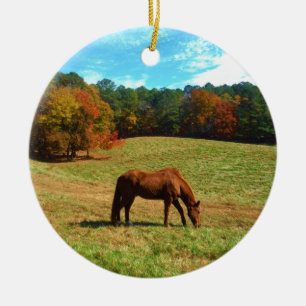 Ornement Rond En Céramique Cheval Brown rouge, ciel bleu Turquoise