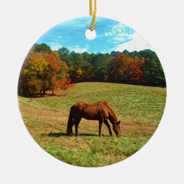 Ornement Rond En Céramique Cheval Brown rouge, ciel bleu Turquoise (Devant)