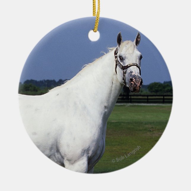 Ornement Rond En Céramique Cheval d'Appaloosa (Devant)