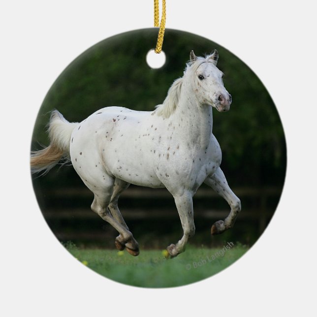 Ornement Rond En Céramique Cheval d'Appaloosa courant 1 (Devant)
