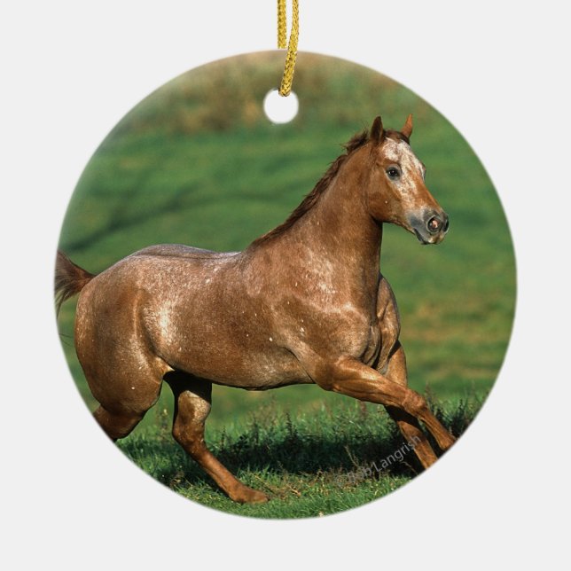 Ornement Rond En Céramique Cheval d'Appaloosa fonctionnant dans le domaine (Devant)