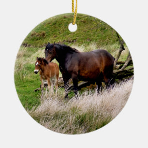 ORNEMENT ROND EN CÉRAMIQUE CHEVAUX