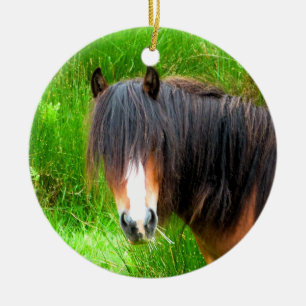 ORNEMENT ROND EN CÉRAMIQUE CHEVAUX