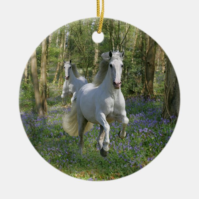 Ornement Rond En Céramique Chevaux d'imaginaire : Bois de jacinthe des bois (Devant)