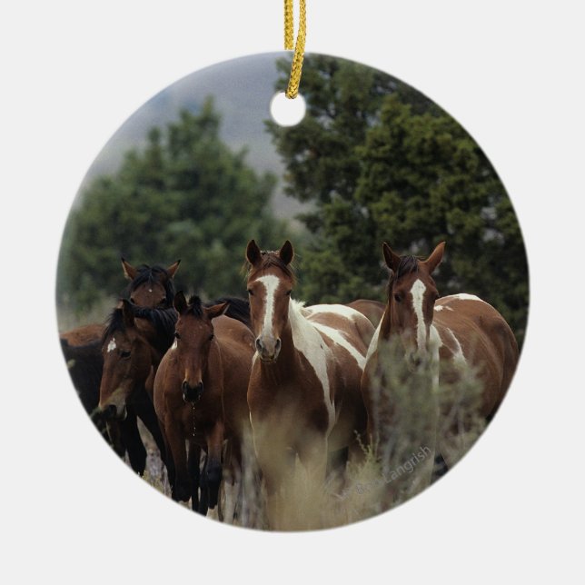 Ornement Rond En Céramique Chevaux sauvages 2 de mustang (Devant)