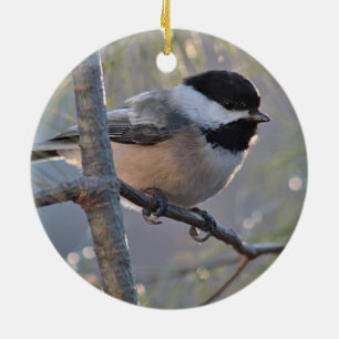 Ornement Rond En Céramique Chickadee
