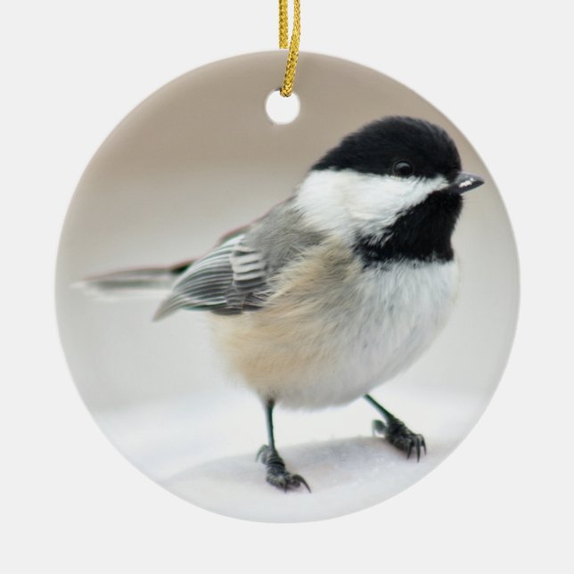 Ornement Rond En Céramique Chickadee (Devant)