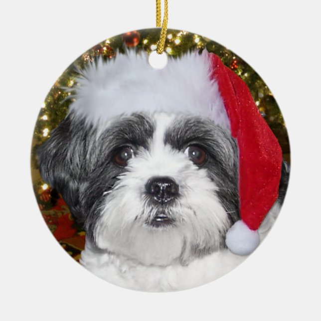 Ornement Rond En Céramique Chien de Shih Tzu de Noël (Devant)